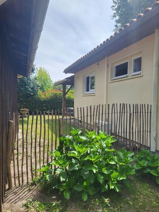 La Petite Landaise Villa Sanguinet Exterior photo